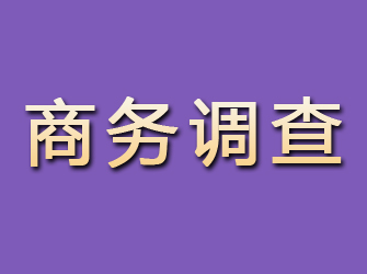 浦口商务调查